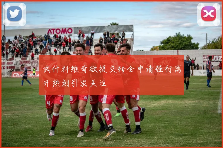 武什科维奇欲提交转会申请强行离开热刺引发关注